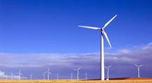 Windmill farm against blue sky and golden land