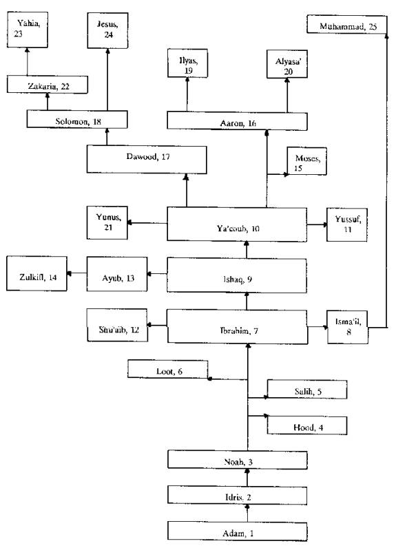 muhammed prophet tree 1